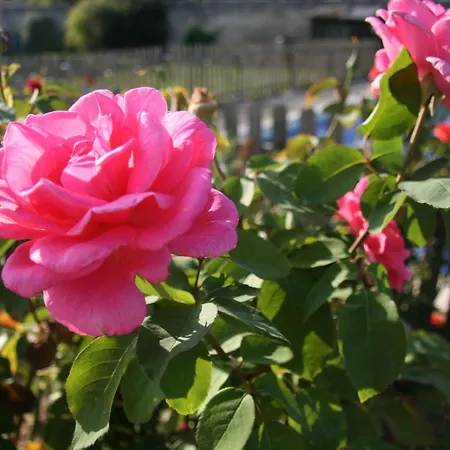 Loire Escapes - Fuer Selbstversorger Auf Dem Lande In Frankreich - Ein Fri By Interhome Berrie